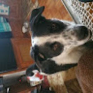 Meet your Posher, Rita